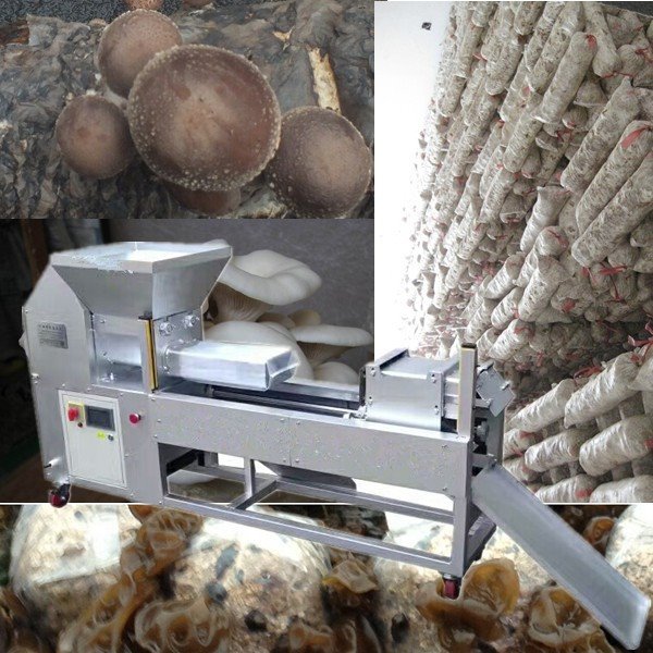 Shiitake mushroom bag machine (4)