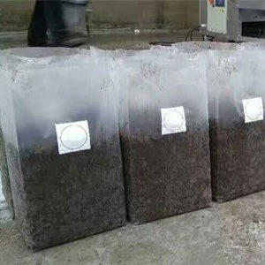 Shiitake mushroom bag machine (5)