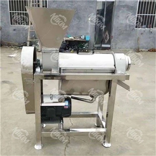 Vegetable Juicer